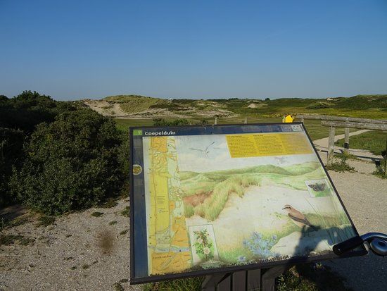 Natuurreservaat Coepelduynen